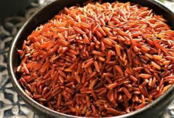 Gạo lứt đỏ là gì?