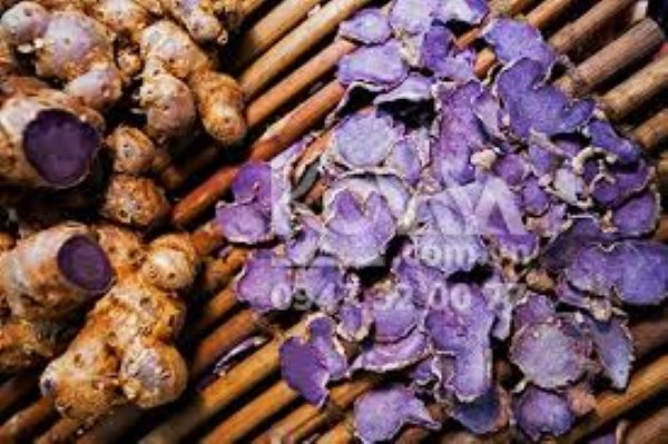 Gừng đen có tác dụng gì với sức khỏe