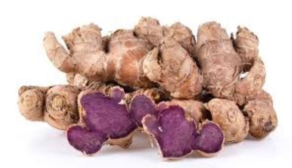 Gừng đen có tốt không?