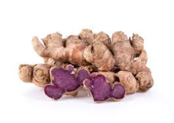 Gừng đen mua ở đâu?