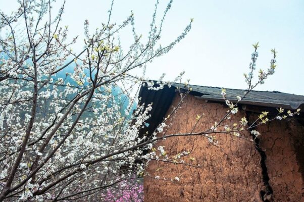 Những địa điểm du lịch mùa đông Hà Giang