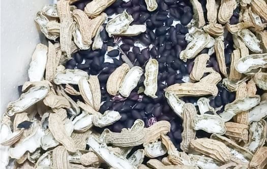 Lạc đen có lợi ích gì với sức khỏe?