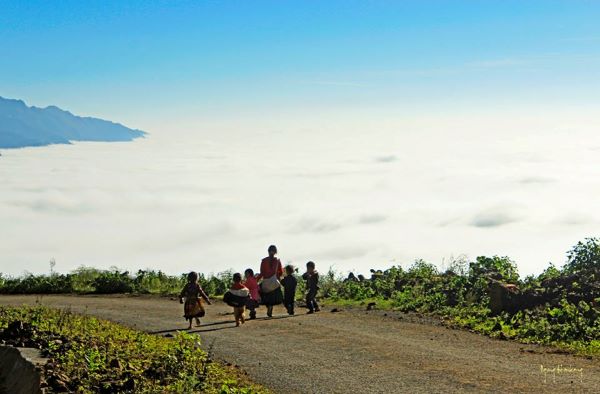 Lịch trình săn mây đỉnh gió Tà Xùa