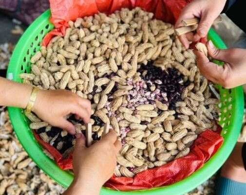 Lợi ích sức khỏe của lạc đen