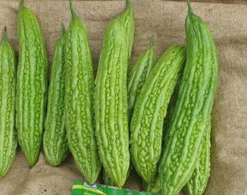 Mướp đắng giảm mỡ máu được không?