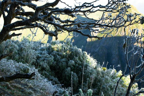 Ngắm tuyết trên đỉnh Fansipan