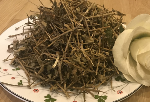 Cao cà gai leo uống như thế nào?