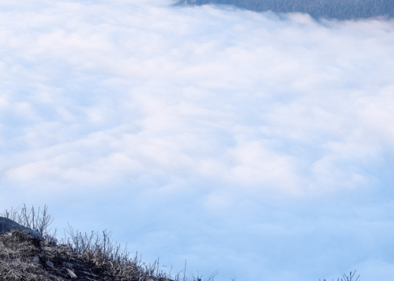 Thời điểm nên đến núi Lảo Thẩn