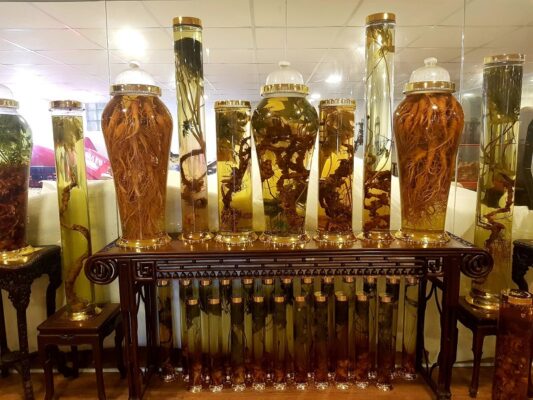 Tác dụng chữa bệnh của sâm Đương quy ngâm rượu