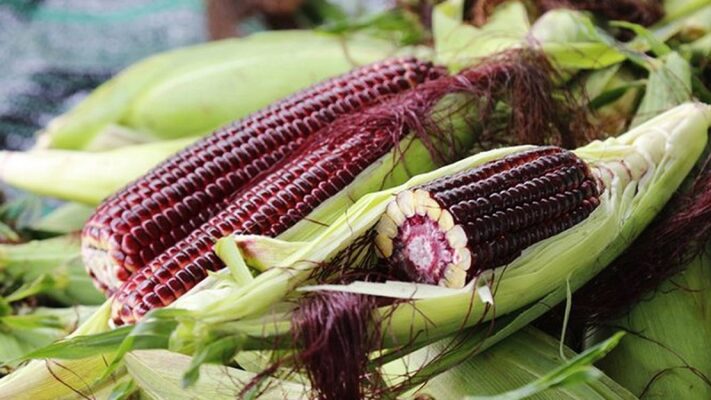 ngô tím Tây Bắc ngâm rượu