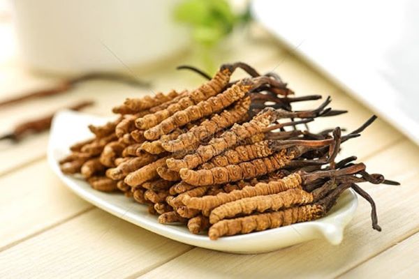 Nam giới dùng đông trùng hạ thảo sẽ có ích lợi gì?