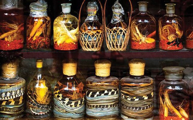 Lợi ích của các loại rễ cây ngâm rượu