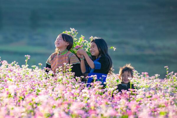 Hà Giang tháng 11 có gì đẹp?