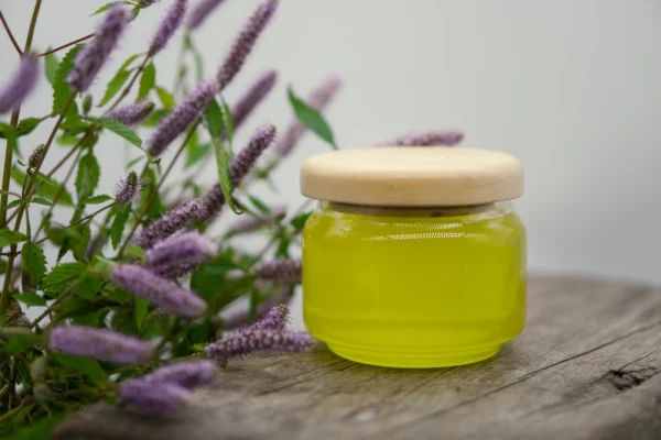 Cách nhận biết mật ong hoa bạc hà chuẩn xịn