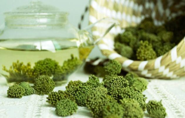 Cách dùng và bảo quản nụ tam thất