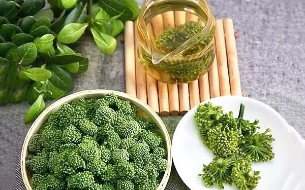 nụ hoa tam thất với sức khoẻ