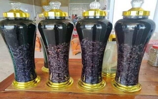 Rượu ba kích tươi