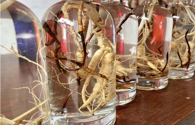 rượu đông trùng hạ thảo