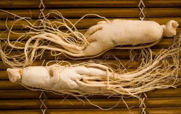 Công dụng của đương quy ngâm mật ong