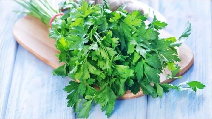 Nước ép rau mùi có tác dụng gì?