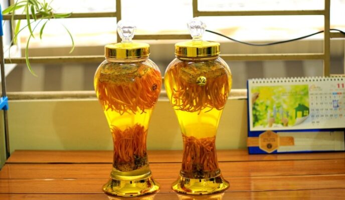 Bỏ túi cách ngâm rượu đông trùng hạ thảo