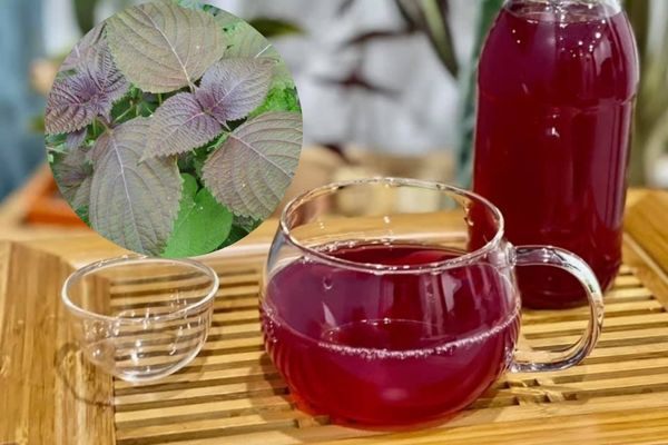 Lợi ích của lá tía tô với da