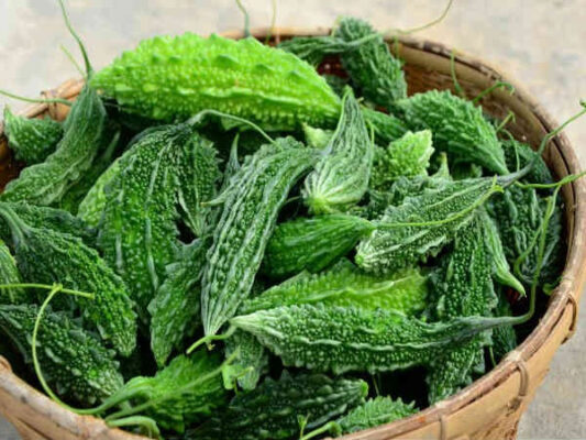 Mướp đắng rừng với lợi ích tuyệt vời mà ít người biết