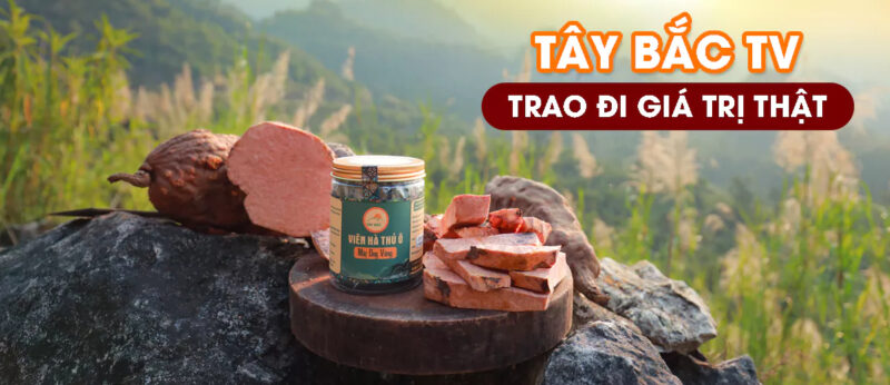 Sử dụng hà thủ ô Tây Bắc TV có bị nổi mụn không