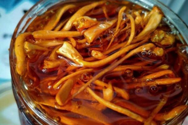 Trà hoa cúc táo đỏ có nên uống hàng ngày