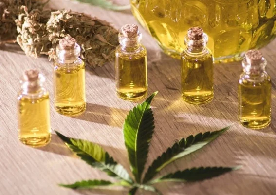 Tác dụng của dầu hạt cải