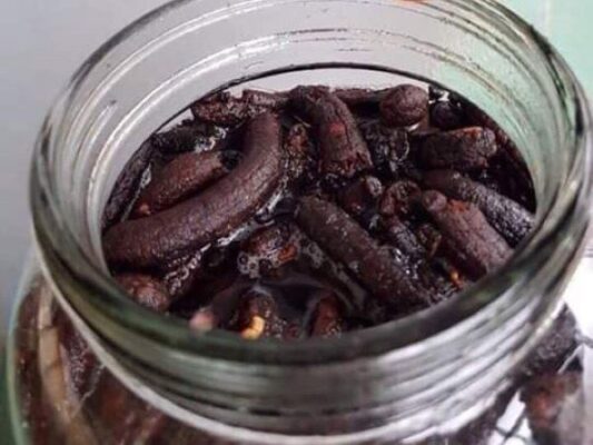 5 loại rượu ngâm trái cây hấp dẫn