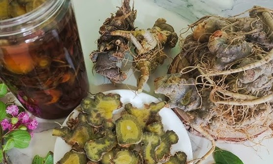 Cách làm tam thất tươi ngâm mật ong