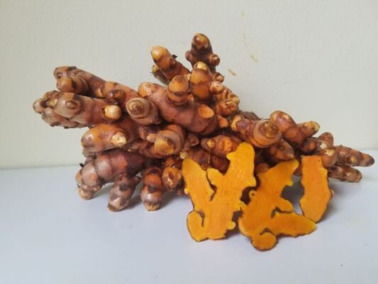 Cách sử dụng nghệ nếp đỏ trị đau dạ dày