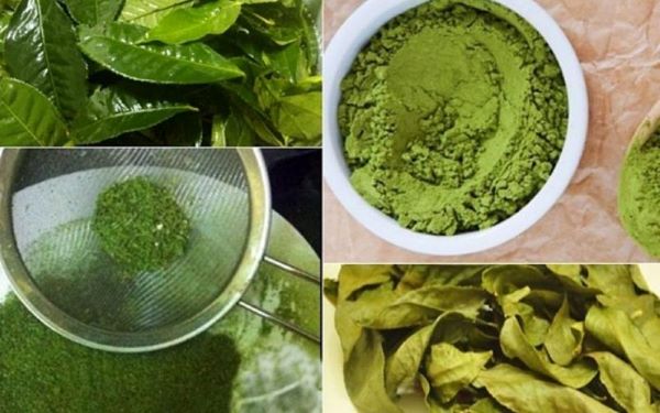 Công dụng thần kỳ của tinh bột trà xanh