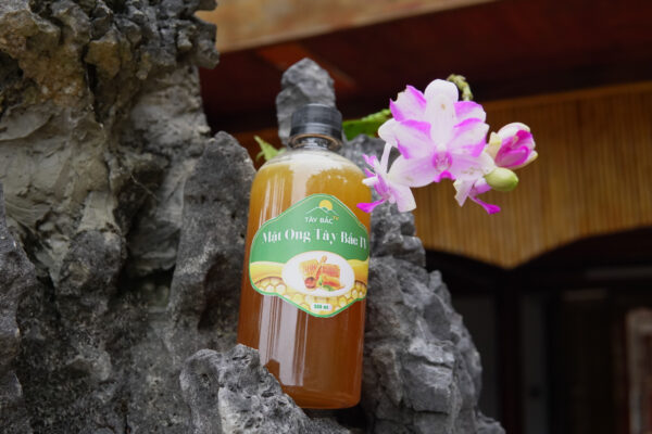 Hoa đu đủ đực ngâm mật ong