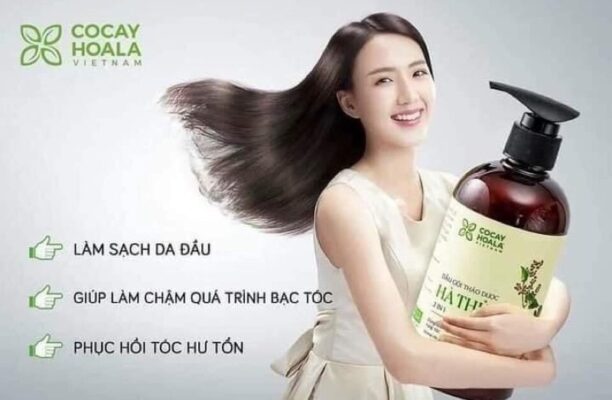 Dầu gội đầu hà thủ ô là gì?