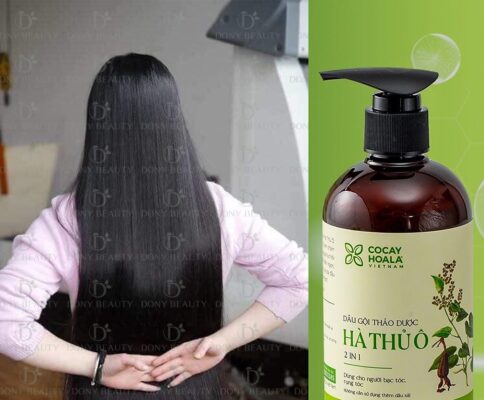 Dầu gội hà thủ ô có công dụng gì?