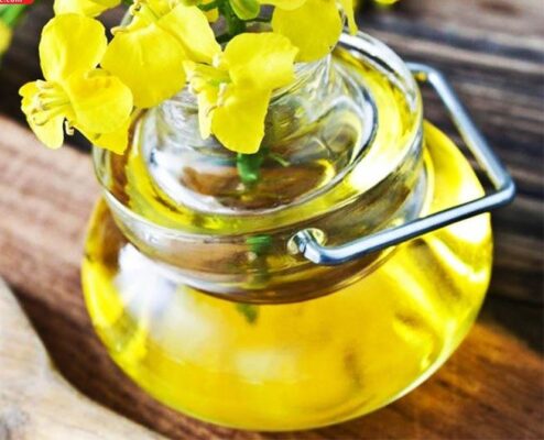 Dầu hạt cải có tác dụng gì?