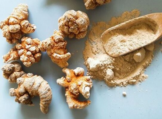 Dùng tam thất chữa ung thư vú - Tác dụng và những điều cần biết