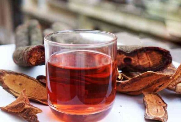 Cây cỏ máu được biết đến với khả năng bổ máu hiệu quả.