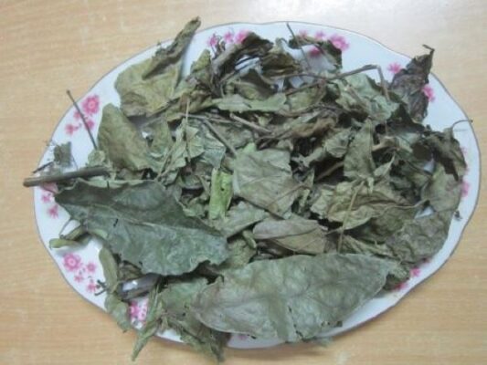 Lá xạ đen có tác dụng gì?