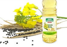 Lợi ích bất ngờ của dầu hạt cải