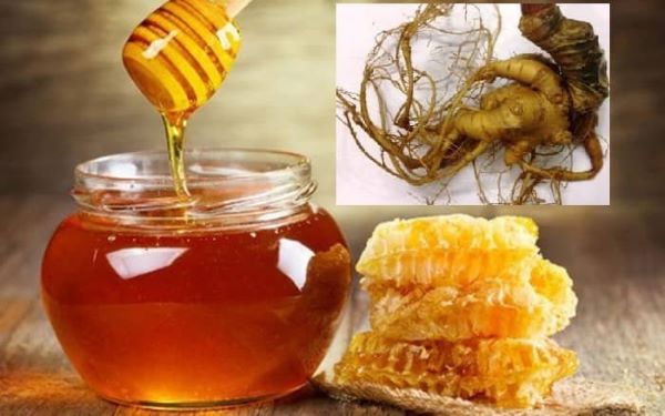 Lợi ích của tam thất tươi ngâm mật ong