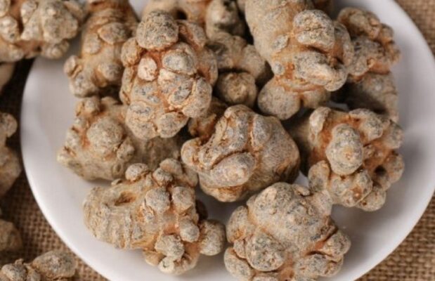 Những đối tượng không được uống tam thất mật ong