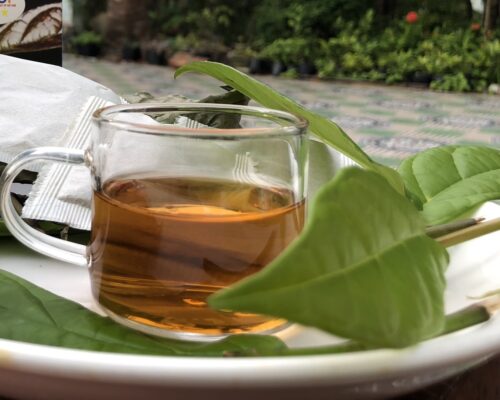 Những người nên sử dụng cây xạ đen