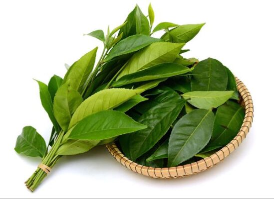 Những tác dụng bất ngờ của lá trà xanh