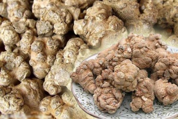 Những trường hợp nào không nên uống tam thất mật ong?