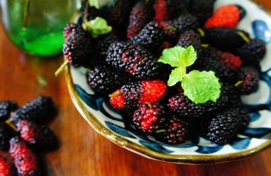 Rượu dâu tằm là gì?