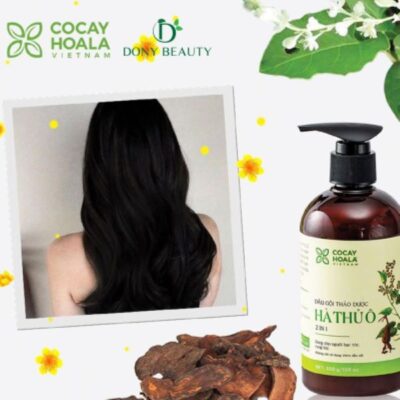 Tác dụng của dầu gội đầu hà thủ ô