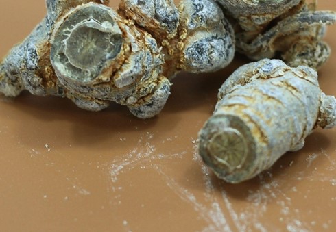 Uống mật ong tam thất có nóng không?